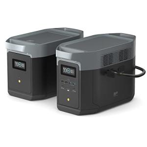 EF ECOFLOW DELTA 2 MAX Power Station Bundle