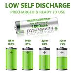 Dynpower 1000mAh NiMH Rechargeable AA Batteries, 12-Pack