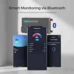 Renogy 3000W Pure Sine Wave Inverter with Bluetooth