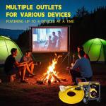 30FT L14-30P to 4X 5-20R Generator Adapter Cord