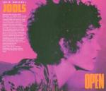 Portable Open Frame Inverter Generator