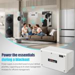 Fenglesha 100 Amp Smart Generator Management Module