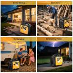 5000 Watts Portable Dual Fuel Inverter Generator