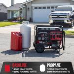 DuroStar DS13000MX Dual Fuel Portable Generator