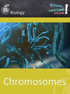 Biology Movie - Chromosomes Explained for Students