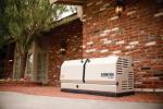 Champion 22 kW Home Standby Generator with Switch