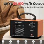 ZETAWALE 60000mg/h Ozone Generator for Odor Removal
