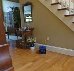 OdorStop OS3500UV Professional Grade Ozone Generator Ionizer for Areas of 3500 sq ft and above