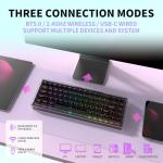 Einperr Wireless Mechanical Keyboard, 65% Hot Swappable Custom Keyboard with RGB Backlit, Pre-lubed Lulu Switches,2.4GHz/USB-C/BT5.0 Mechanical Gaming Keyboards