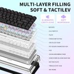 Einperr Wireless Mechanical Keyboard, 65% Hot Swappable Custom Keyboard with RGB Backlit, Pre-lubed Lulu Switches,2.4GHz/USB-C/BT5.0 Mechanical Gaming Keyboards