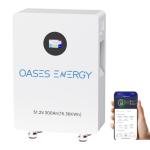 Oasesenergy 51.2V 300Ah Lithium LiFePO4 Battery with 200A Integrated BMS, LCD Monitor, App Control, 15kWh 48V LiFePO4 Solar Battery for Solar Systems, Home Energy Storage, RV,Off-Grid, Backup Power
