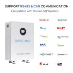 Oasesenergy 51.2V 300Ah Lithium LiFePO4 Battery with 200A Integrated BMS, LCD Monitor, App Control, 15kWh 48V LiFePO4 Solar Battery for Solar Systems, Home Energy Storage, RV,Off-Grid, Backup Power