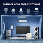 Oasesenergy 51.2V 300Ah Lithium LiFePO4 Battery with 200A Integrated BMS, LCD Monitor, App Control, 15kWh 48V LiFePO4 Solar Battery for Solar Systems, Home Energy Storage, RV,Off-Grid, Backup Power