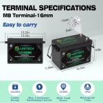 12V 300Ah LiFePO4 Lithium Battery Small Size, Built-in 200A BMS, Up to 10000 Cycles, Max. 2560W Power Output, Perfect for Off-Grid, RV, Golf Cart, Solar Power System, Home Backup