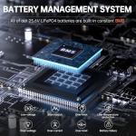 24V 100Ah LiFePO4 Lithium Battery, Build-in 100A BMS with Low-Temp Protection, Smart Display, Deep Cycle, 2560Wh Batteries Perfect for Trolling Motor, Trailer, Boat, Marine, RV, Solar System, Backup