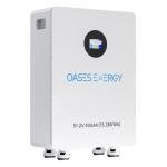 300Ah 48V LiFePO4 Battery with LCD Screen