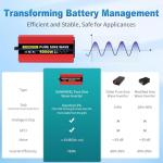 SUNWHEEL 4000W Pure Sine Wave Power Inverter