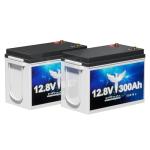 2 Pack 12V 300Ah Lithium Batteries with Smart BMS