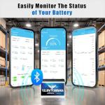 2 Pack 12V 300Ah Lithium Batteries with Smart BMS