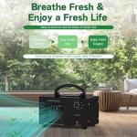 ZETAWALE 45000mg Ozone Generator for Home and Car