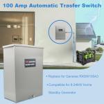 100 Amp Automatic Transfer Switch for Generators