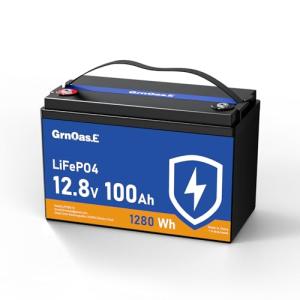 100Ah LiFePO4 Lithium Battery with BMS and Protection