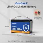 100Ah LiFePO4 Lithium Battery with BMS and Protection