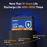 100Ah LiFePO4 Lithium Battery with BMS and Protection