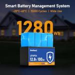 100Ah LiFePO4 Lithium Battery with BMS and Protection