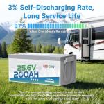 Redodo 24V 200Ah LiFePO4 Lithium Battery, Built in 200A BMS, Max. 5120Wh Energy, Up to 15000 Deep Cycle Lithium Battery, Perfect for Solar Home System, RV, Off Grid, Marine