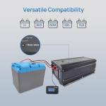 Soyond 2000W Pure Sine Wave Inverter Charger, 12V DC to 120V AC Surge 6000W, with 50A Battery AC Charger, Power Inverter w/LCD Remote Panel for RV, Boat,Truck, Compatible with Lifepo4 Battery