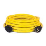 Champion 25-Foot 30-Amp Generator Power Cord