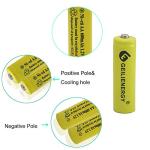 GEILIENERGY Solar Light Rechargable Batteries AA 1.2V,Ni-Cd AA 600mAh 1.2V Rechargeable Battery for Solar Lights(8 PCS)