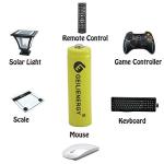 GEILIENERGY Solar Light Rechargable Batteries AA 1.2V,Ni-Cd AA 600mAh 1.2V Rechargeable Battery for Solar Lights(8 PCS)