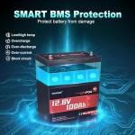 2 Packs 12V 100Ah MINI LiFePO4 Lithium Battery,1280Wh BCI Group 24 Battery 100A BMS 6000+ Cycles,Ideal For RV,Solar Off-Grid Systems,Home Energy Storage