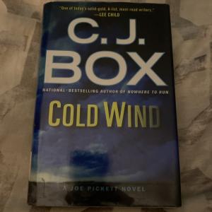 Cold Wind (A Joe Pickett Novel)