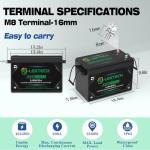 12V 300Ah LiFePO4 Lithium Battery Small Size, Built-in 200A BMS, Up to 10000 Cycles, Max. 2560W Power Output, Perfect for Off-Grid, RV, Golf Cart, Solar Power System, Home Backup