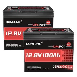2 Packs 12V 100Ah MINI LiFePO4 Lithium Battery,1280Wh BCI Group 24 Lithium Iron Phosphate Battery 100A BMS 6000+ Cycles,Ideal For RV,Solar Off-Grid Systems,Backup