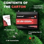 2 Packs 12V 100Ah MINI LiFePO4 Lithium Battery,1280Wh BCI Group 24 Lithium Iron Phosphate Battery 100A BMS 6000+ Cycles,Ideal For RV,Solar Off-Grid Systems,Backup