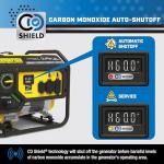 Champion 4375-Watt Dual Fuel Portable Generator