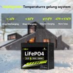 12V 100Ah LiFePO4 Battery Group 31 With Built-in 100A BMS, 15000 Deep Cycles Rechargeable Lithium Battery Prefect for Solar System, Rvs, Marine, Vans, Trailer, Backup (12V100Ah MINI)