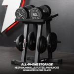 Titan Fitness Dumbbell Stand and Plate Tree, 260 LB Capacity, Organize Classic Dumbbells, Power Blocks, Loose Plates, Home Gym Storage Rack