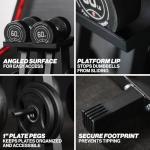 Titan Fitness Dumbbell Stand and Plate Tree, 260 LB Capacity, Organize Classic Dumbbells, Power Blocks, Loose Plates, Home Gym Storage Rack