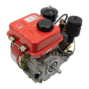 BRICZUNA 4-Stroke Diesel Engine, 196cc Single-Cylinder Manual Engine Speed of 1650-3800rpm with Air-Cooling System for Garden, Farming and Transport Die-Casting Aluminum, Irrigation (Red)
