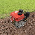 BRICZUNA 4-Stroke Diesel Engine, 196cc Single-Cylinder Manual Engine Speed of 1650-3800rpm with Air-Cooling System for Garden, Farming and Transport Die-Casting Aluminum, Irrigation (Red)