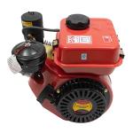 BRICZUNA 4-Stroke Diesel Engine, 196cc Single-Cylinder Manual Engine Speed of 1650-3800rpm with Air-Cooling System for Garden, Farming and Transport Die-Casting Aluminum, Irrigation (Red)