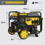 Champion 4375-Watt Dual Fuel Portable Generator