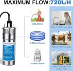 ECO-WORTHY 24V Solar Well Pump Kit with Solar Panels