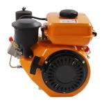 LNUJIUN 3HP Diesel Engine for Tiller and Pump