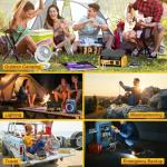 350W Pure Sine Wave Inverter for Dewalt Batteries